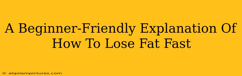 A Beginner-Friendly Explanation Of How To Lose Fat Fast