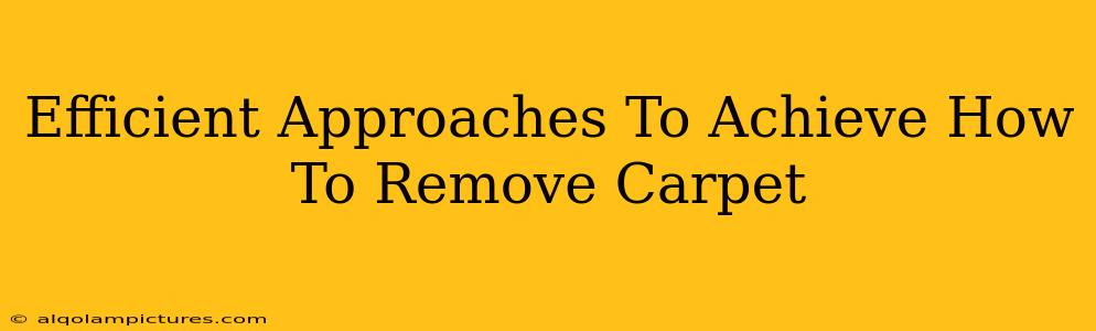 Efficient Approaches To Achieve How To Remove Carpet