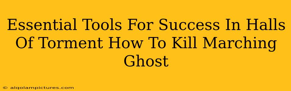 Essential Tools For Success In Halls Of Torment How To Kill Marching Ghost