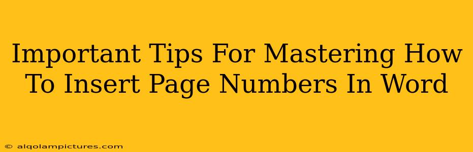 Important Tips For Mastering How To Insert Page Numbers In Word